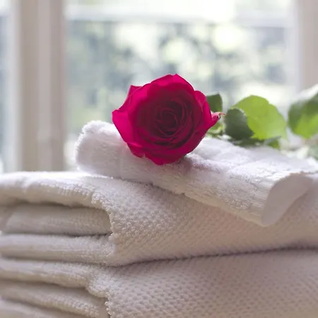 Cera Casa Del Giglio 베니스